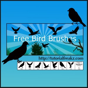 Pinceles pájaros para Photoshop gratis