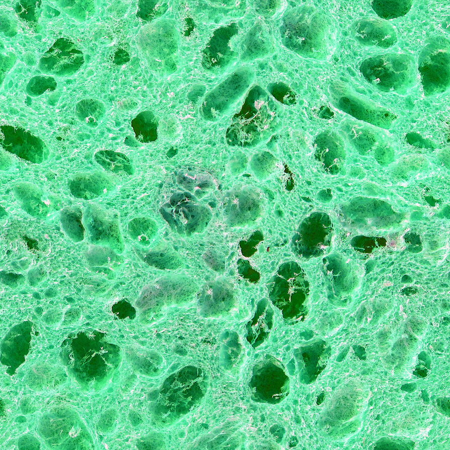 textura-esponja-verde