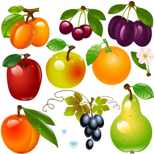 Vectores De Frutas Illustrator Recursos Web And Seo