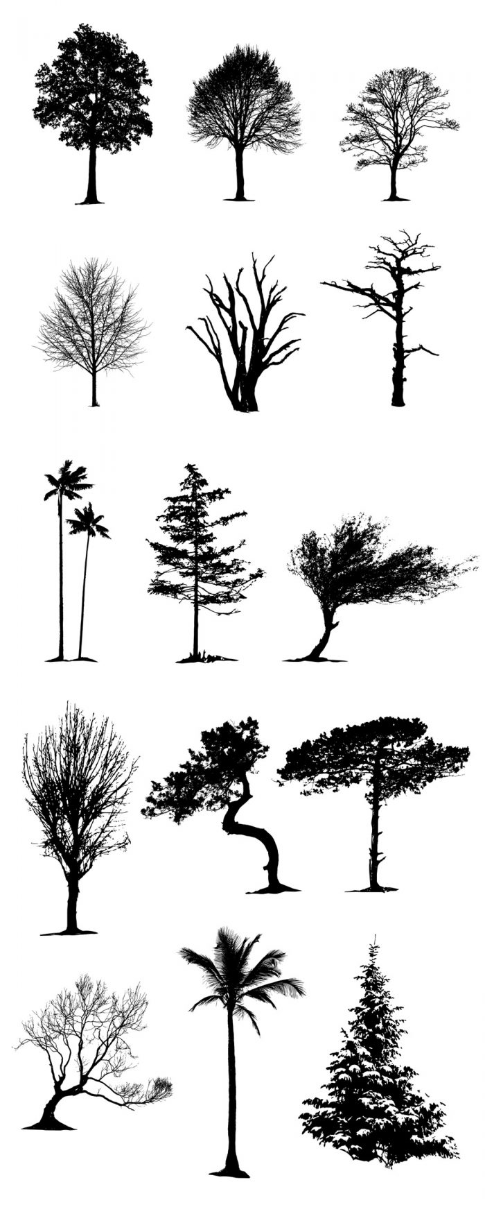 Arboles En Vector Para Descargar Gratis Illustrator Y Photoshop