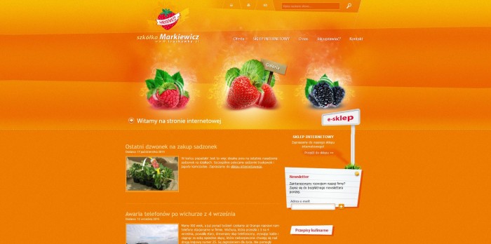 paginas-web-naranja