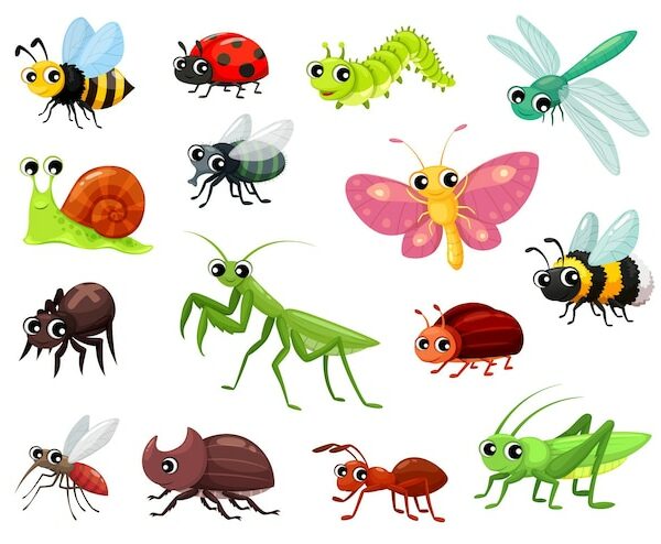 divertidos vectores de insectos en dibujo animado