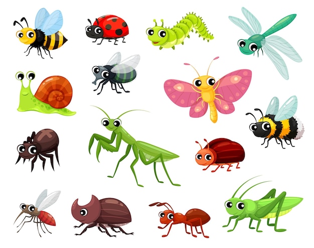 divertidos vectores de insectos en dibujo animado