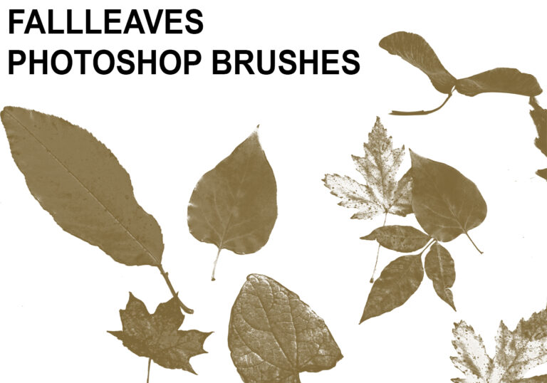 pinceles de hojas de otono gratis para photoshop
