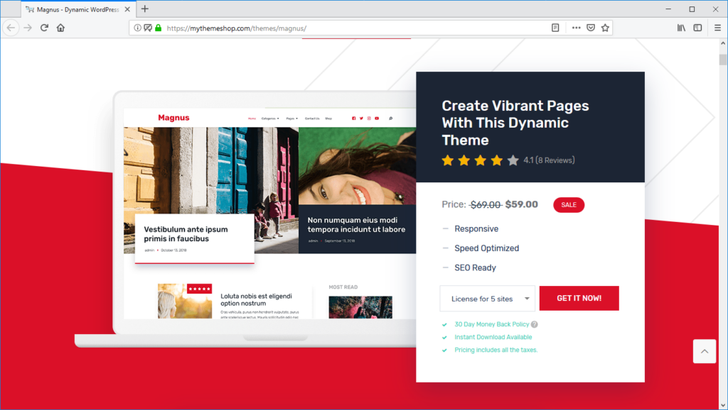 plantillas wordpress profesionales