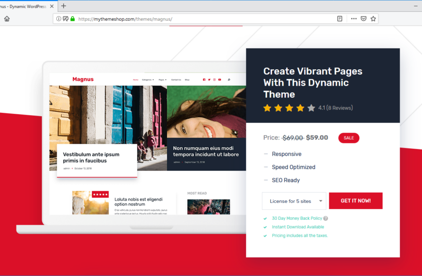 plantillas wordpress profesionales