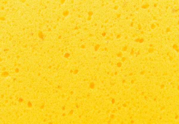 texturas de esponjas