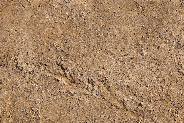 texturas de tierra