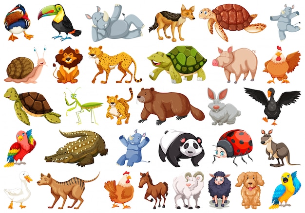 vectores de animales para descargar gratis