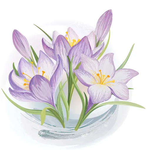 Vectores de flores Vectores de flores