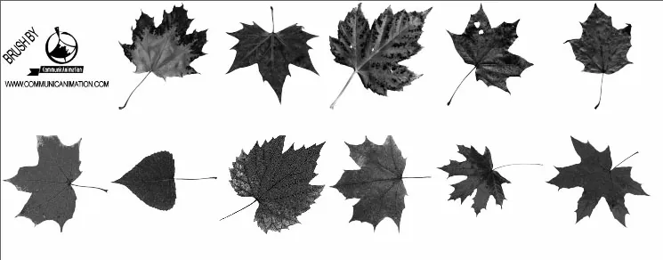 pinceles de hojas para photoshop