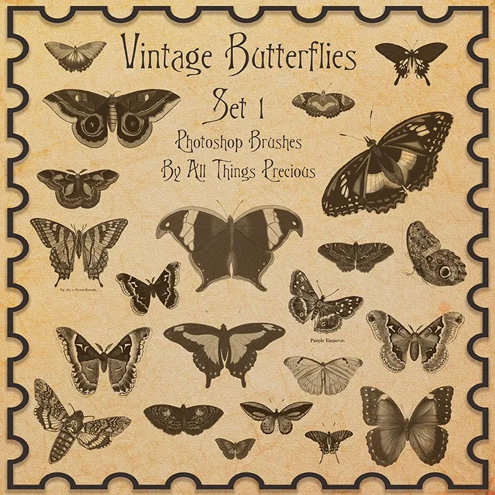 pinceles de mariposas