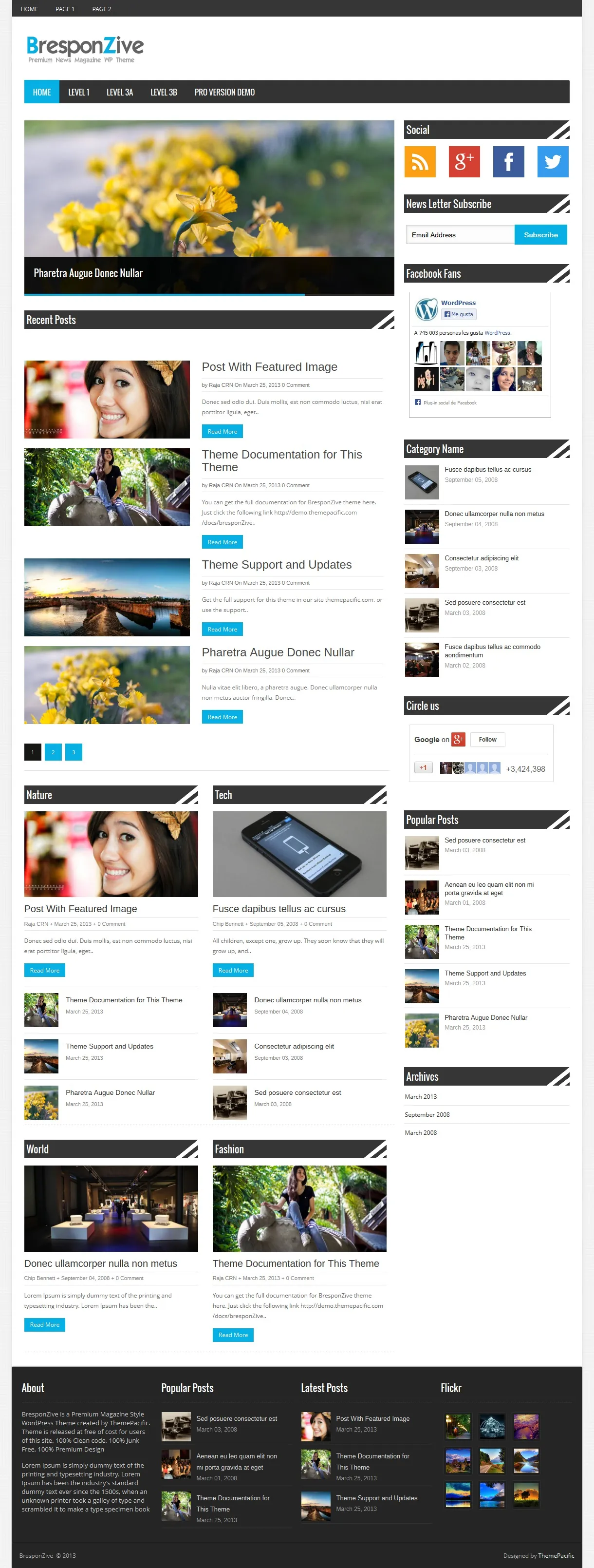wordpress_temas_magazine