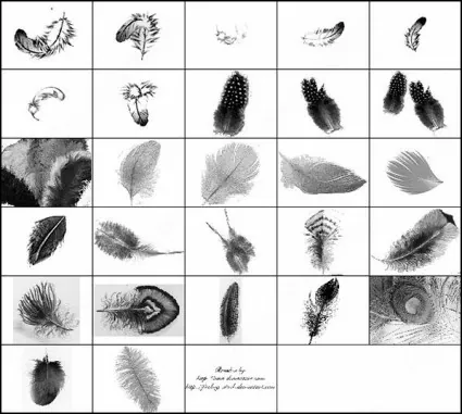 pinceles-plumas2