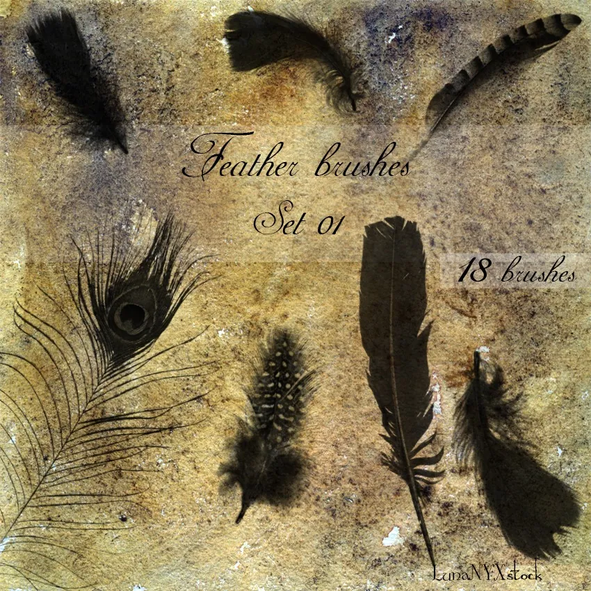 pinceles-plumas5