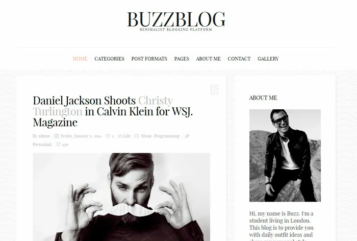 temas-wordpress-escritores