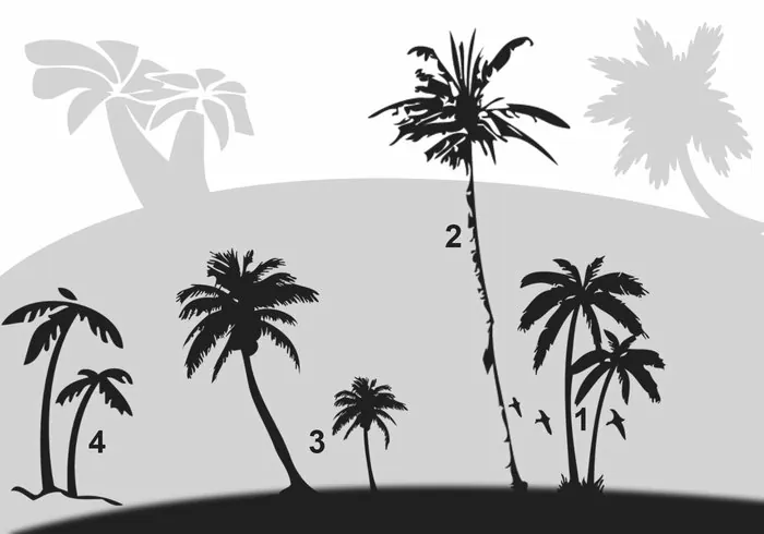 pinceles-palmeras-photoshop