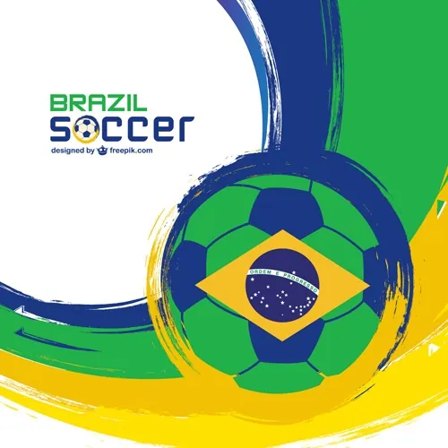 brazil vector4