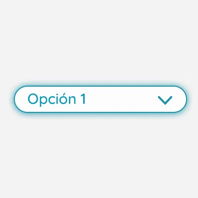 cambiar estilos de un select con css