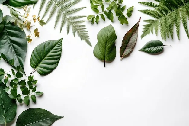 imagenes de hojas gratis y premium