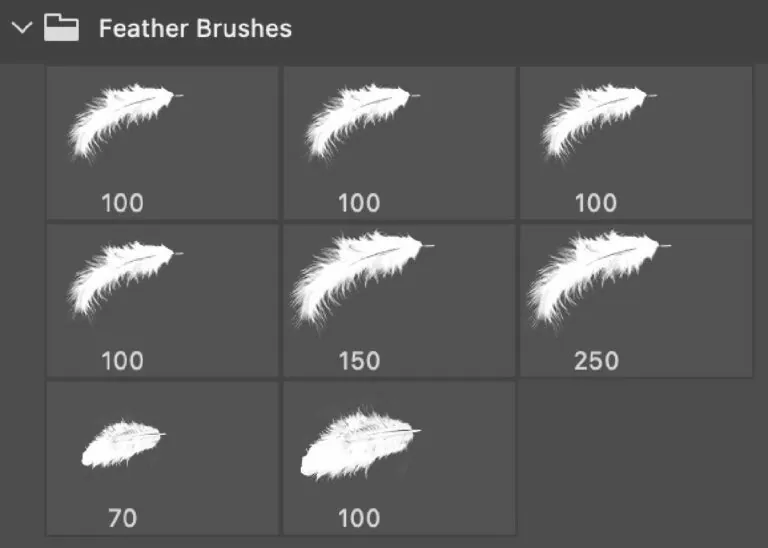pinceles de plumas para photoshop