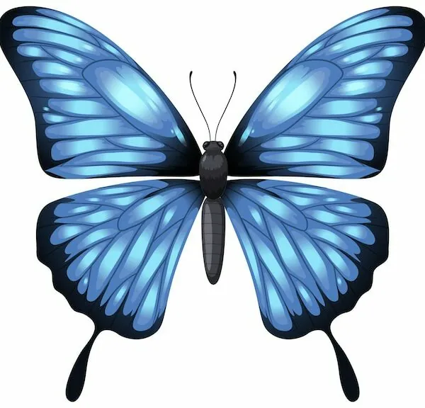 vectores de mariposas para descargar gratis