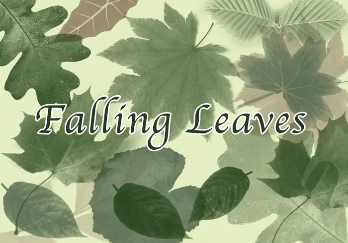 falling leaves photoshop brushes